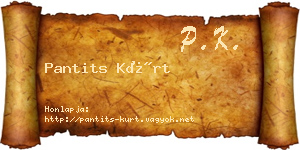 Pantits Kürt névjegykártya